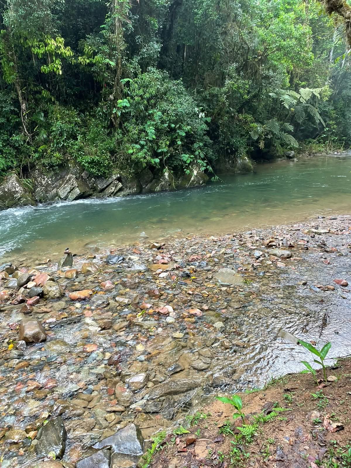 Foto 3 Trilha do Betary